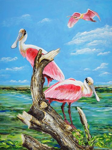 Three Roseate Spoonbills