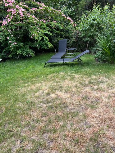 Two lounge chairs and a table in a garden with blooming flowers and patchy grass.