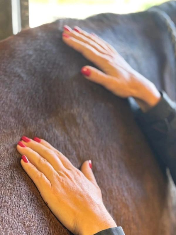 Hands with red nail polish gently resting on a horse's back.