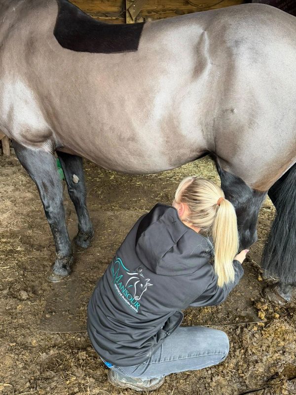 A woman tending to a horse's leg inside a stable.
