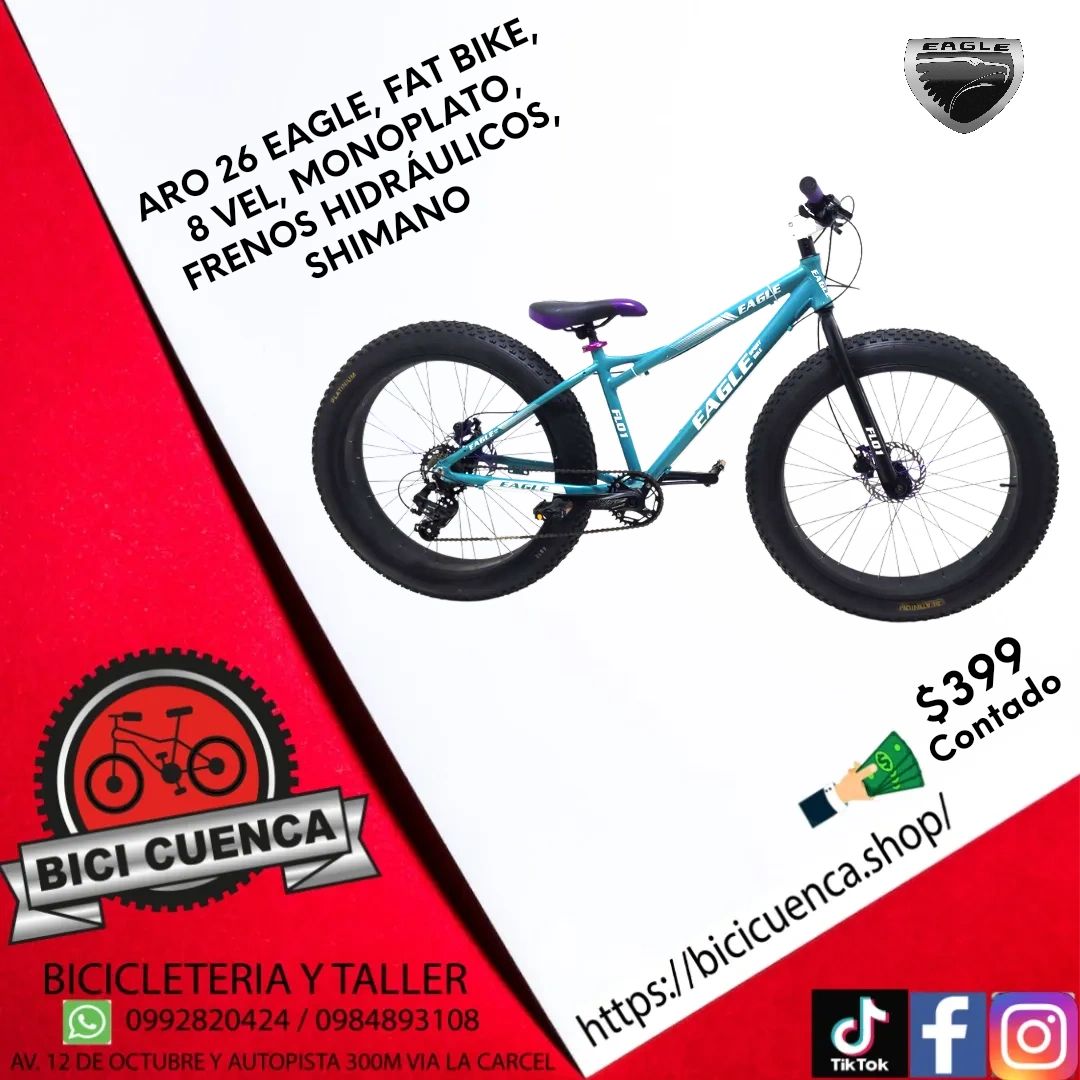 Bicicleta Eagle 26 BICICLETA ARO 26 EAGLE FAT BIKE VEL MONOPLATO