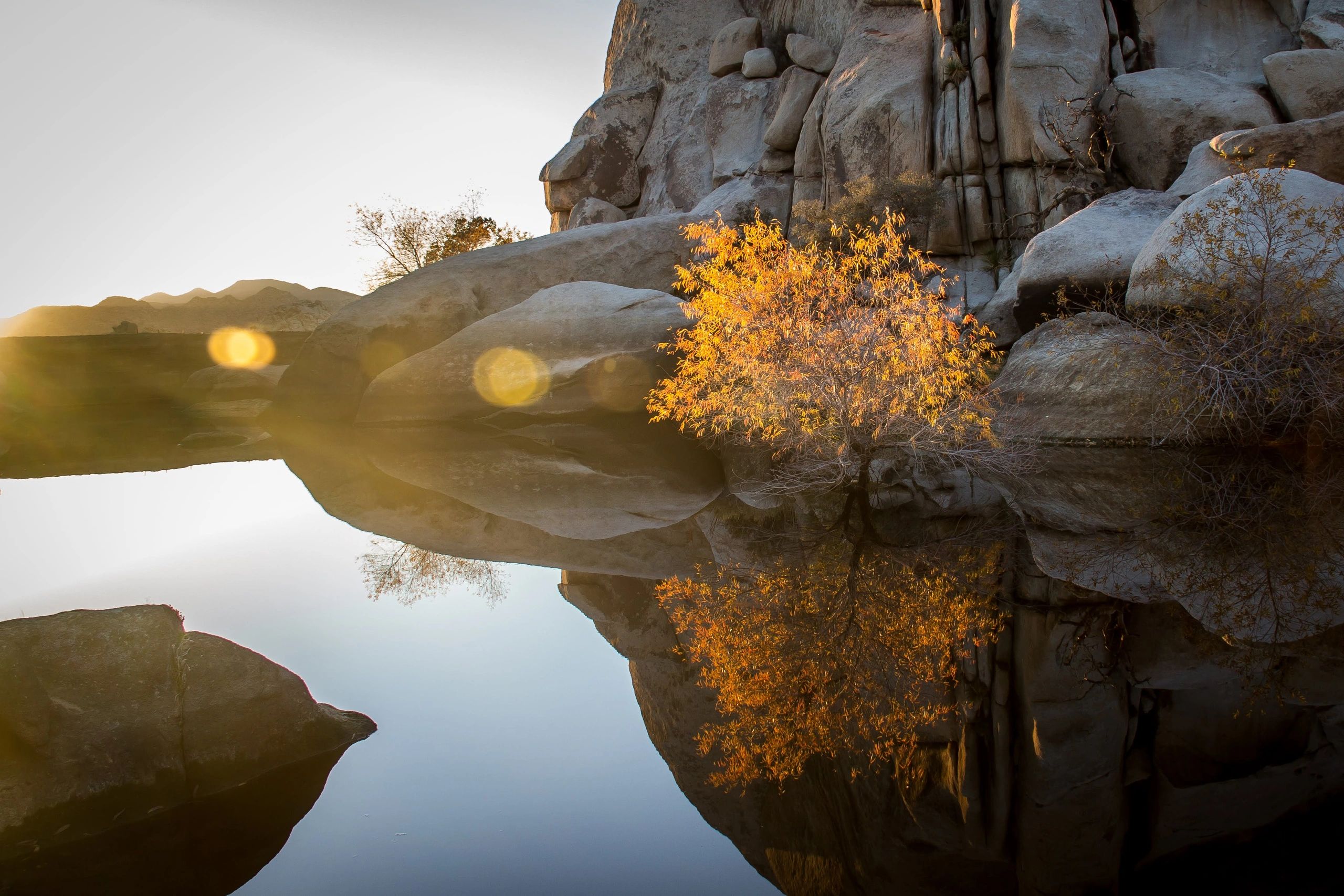 Golden tree reflecting in calm water among large rocks at sunset.