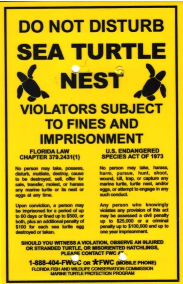 Warning sign about disturbing sea turtle nests with legal penalties.