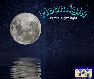 Full moon shining over water with text about moonlight.