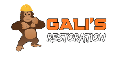 Gali’s Restoration