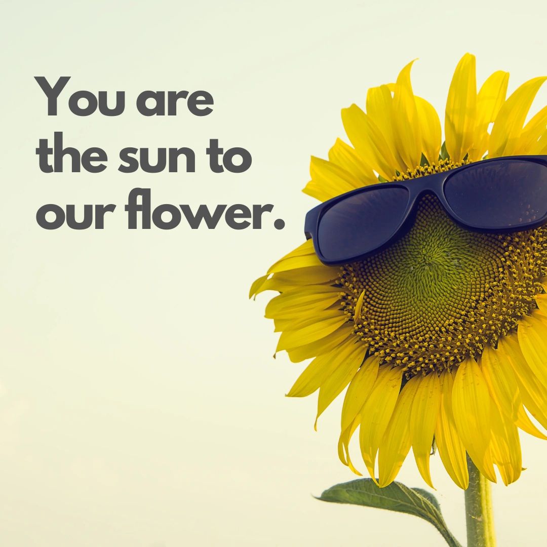 Picture of a sunflower with sunglasses and an expression reading "you are the sun to our flower"