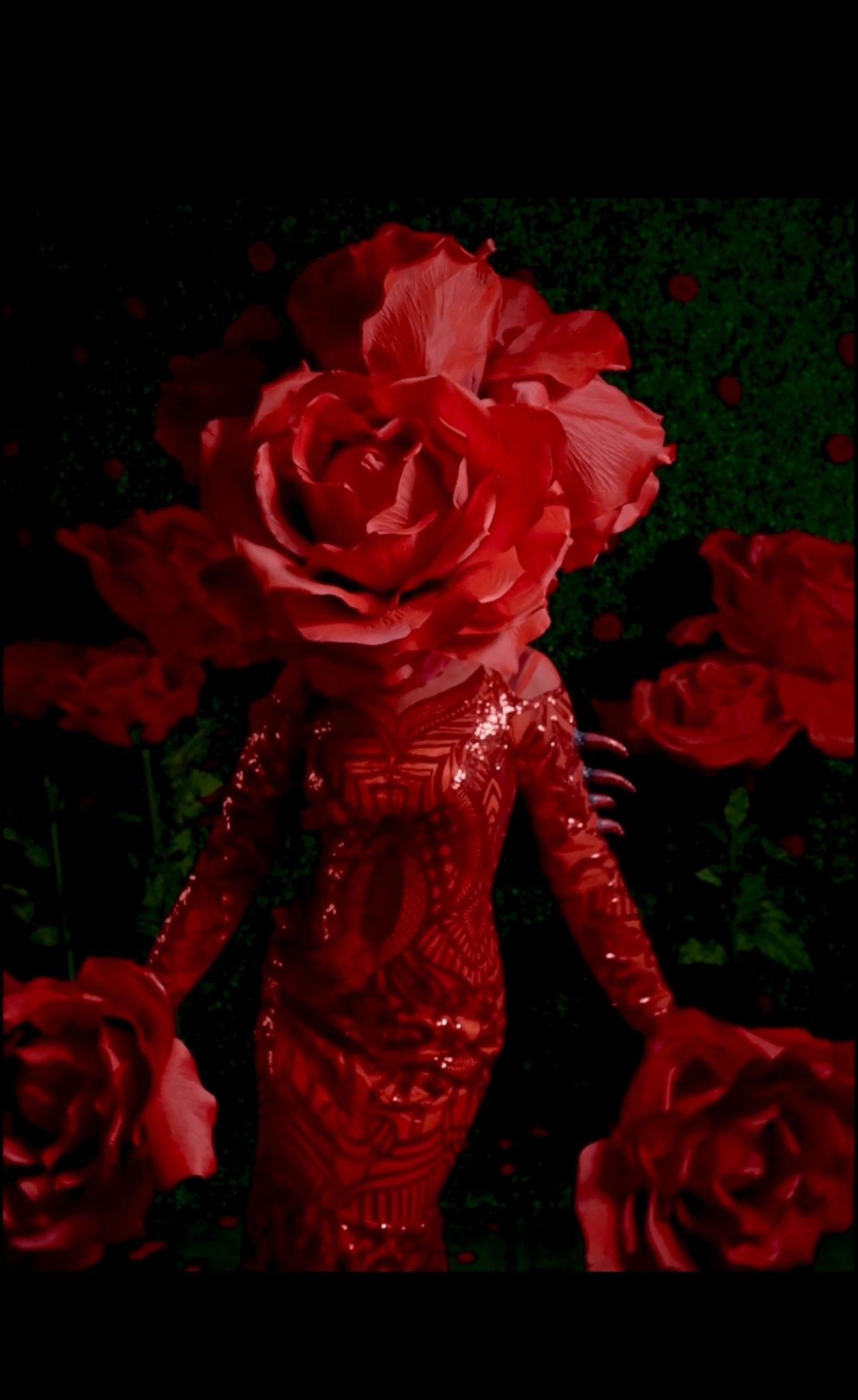 red rose cabaret dress code Cabaret costume ideas