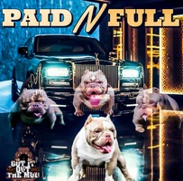 Jackson Family Kennel Bullies
