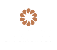 Luseros Experiences