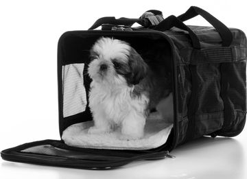 Flight Nanny Services for your pet or dog.