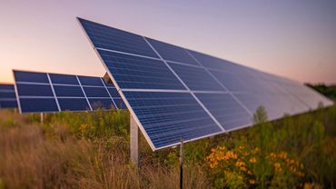Solar Farm Texas