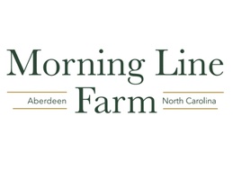 Welcome to 
Morning Line Farm