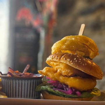 Cheeseburger with onion rings and a side of fries on a plate.