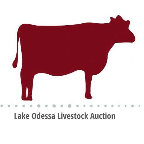 Lake Odessa Livestock Auction