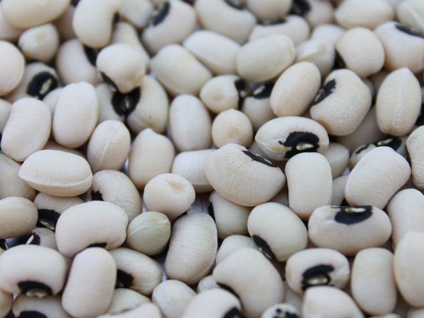 Close-up of black-eyed peas, showcasing their creamy texture and distinctive black spot.