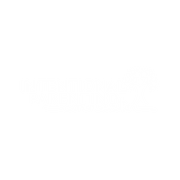 Intentional Parenting Connection