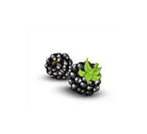 The Brambles, Open All Year Round