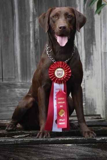 Shelby with her HRCH finished pass!