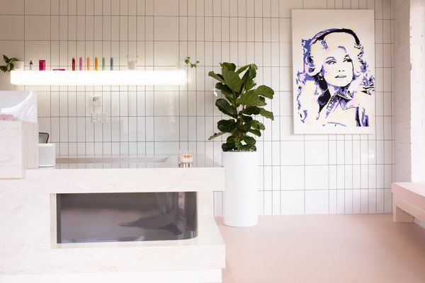 A bright interior reception area. The floor is peach in colour with a large plant and colourful art.