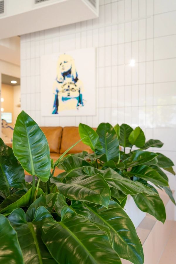 A lush green plant in a bright room in front of a painting of Blondie and a tan leather couch. 