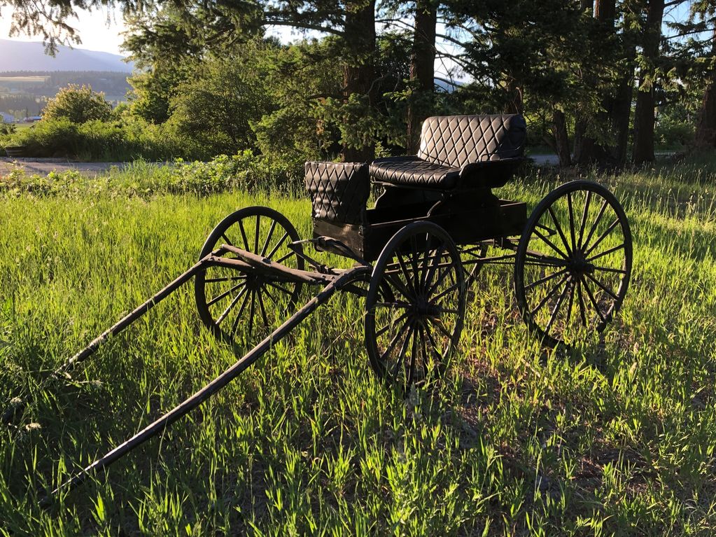 Rusticana Rentals - The Phaeton (Doctor's buggy)