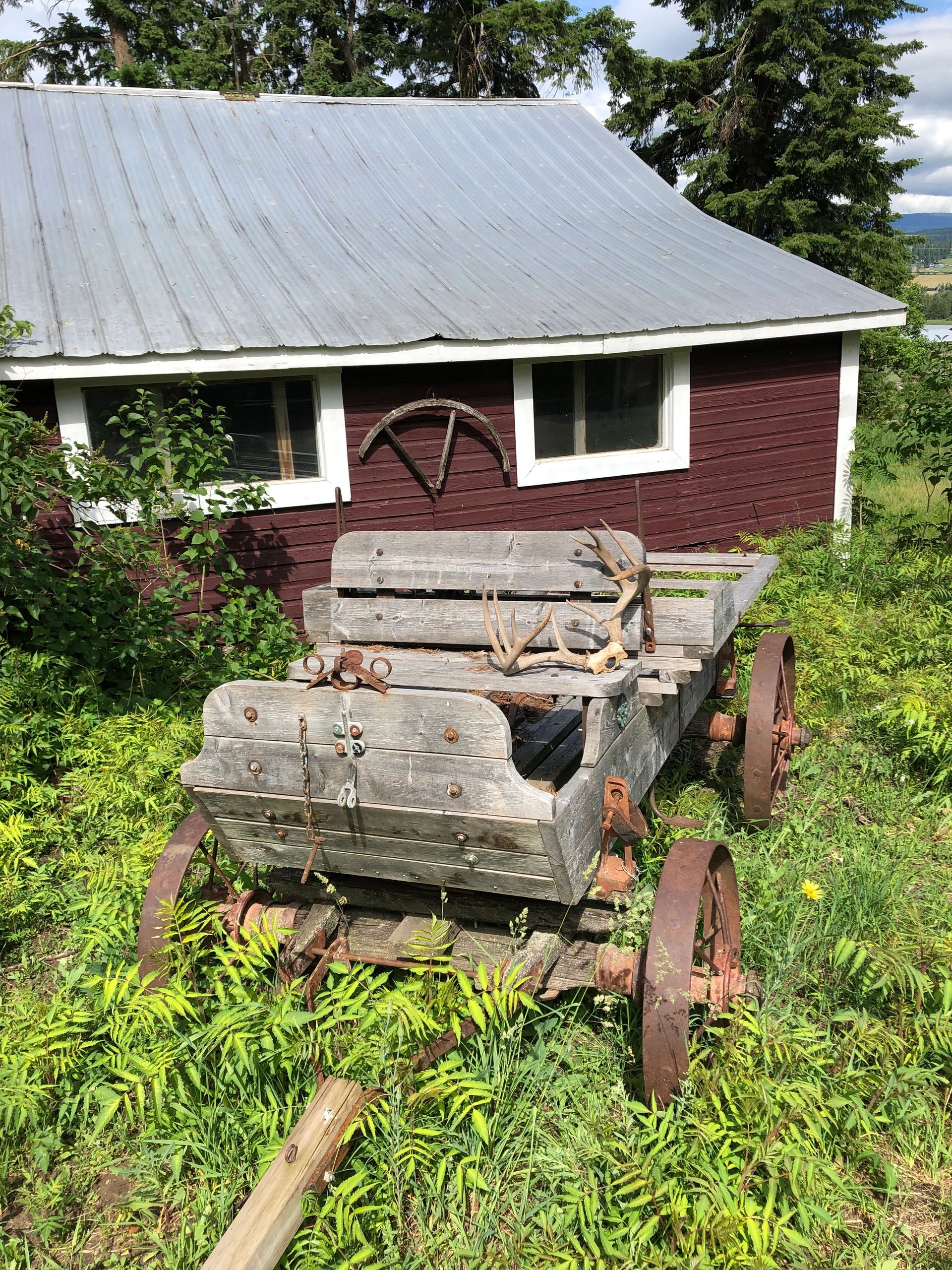 Rusticana Rentals - Buffalo Bill (antique homemade wagon)