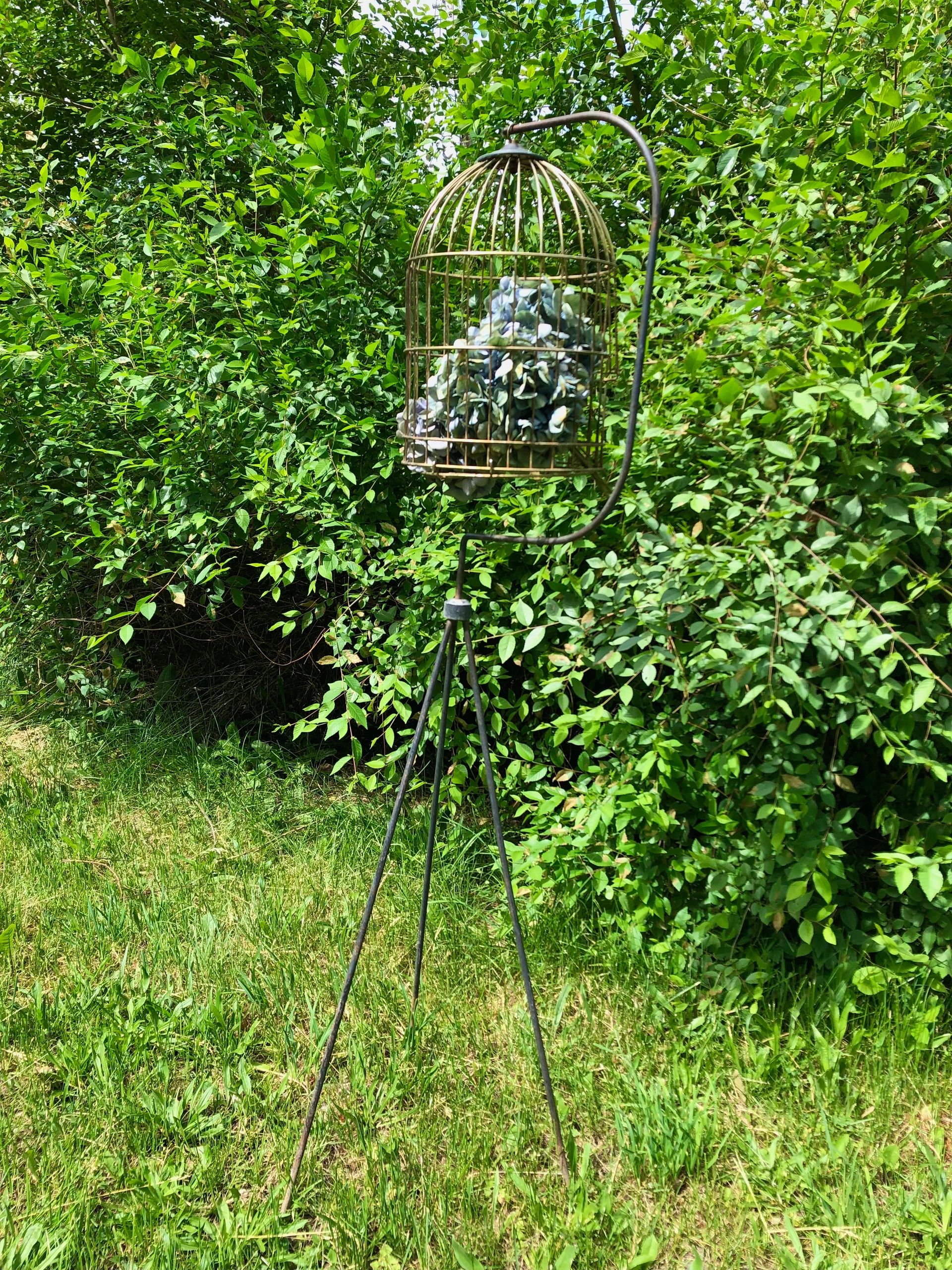 Rusticana Rentals - Tweety (decorative bird cage on stand)