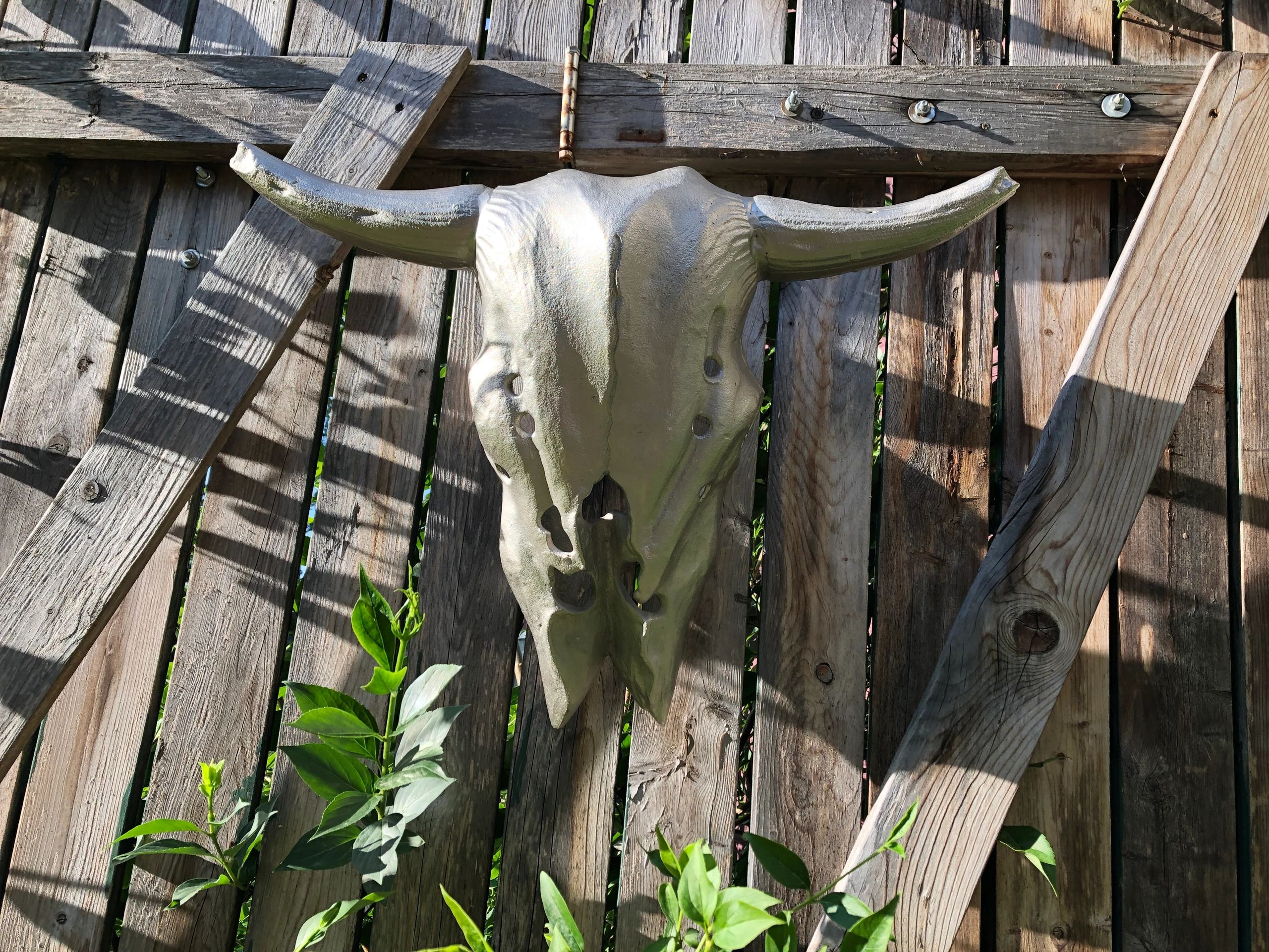 Rusticana Rentals - Metal Head (metallic bull skull)