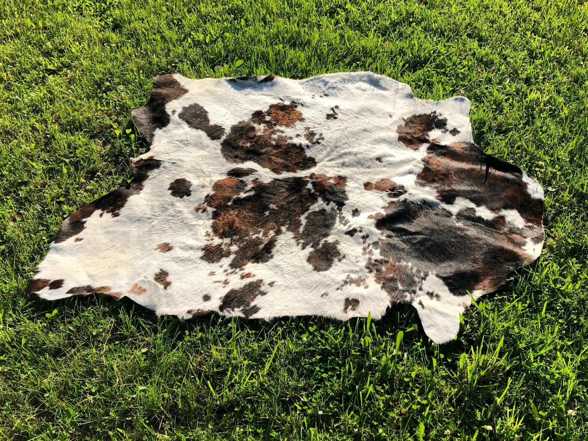 Rusticana Rentals - Grazer (genuine cowhide)