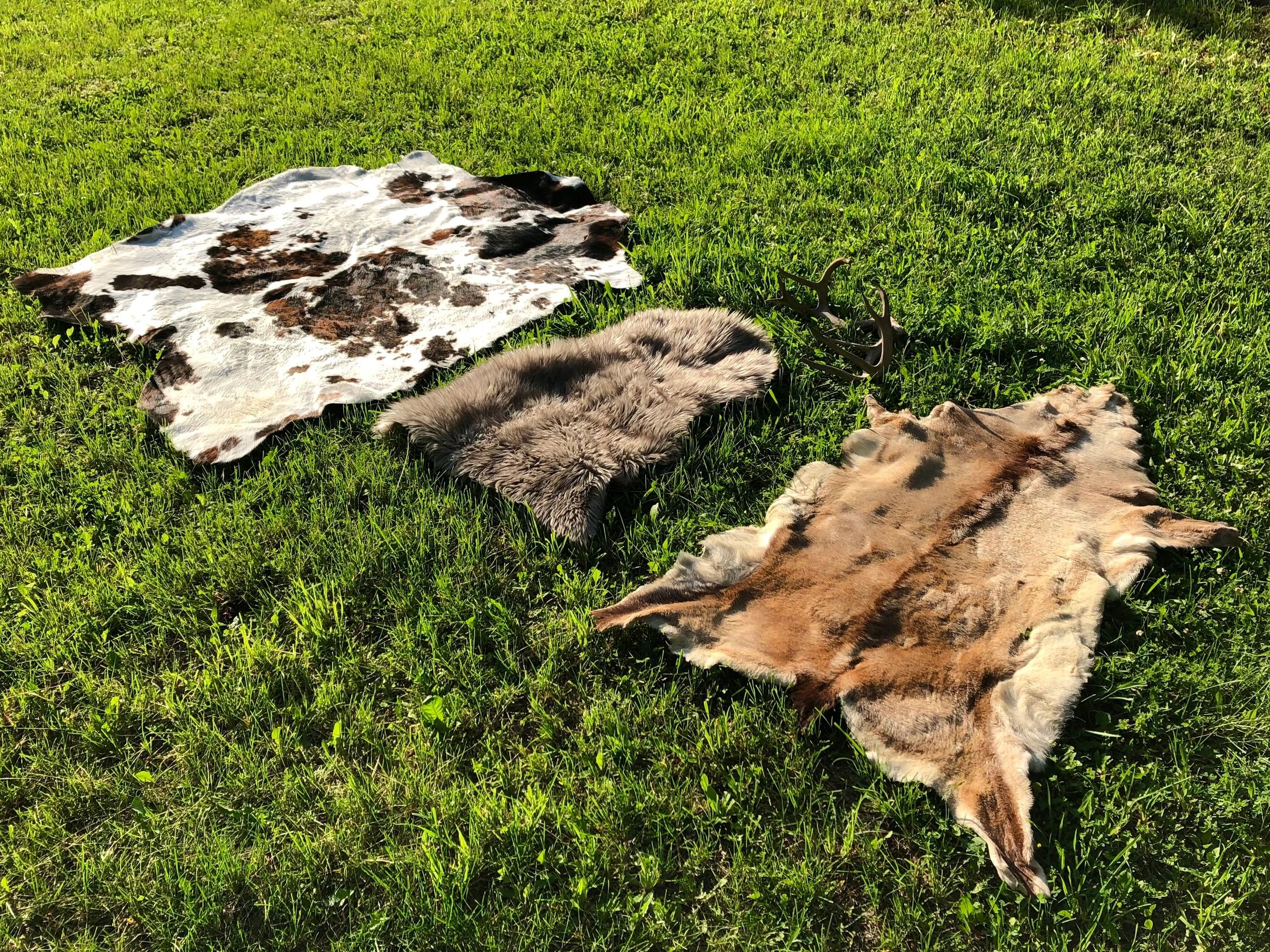 Rusticana Rentals - Billy (genuine goat hide and cowhide)