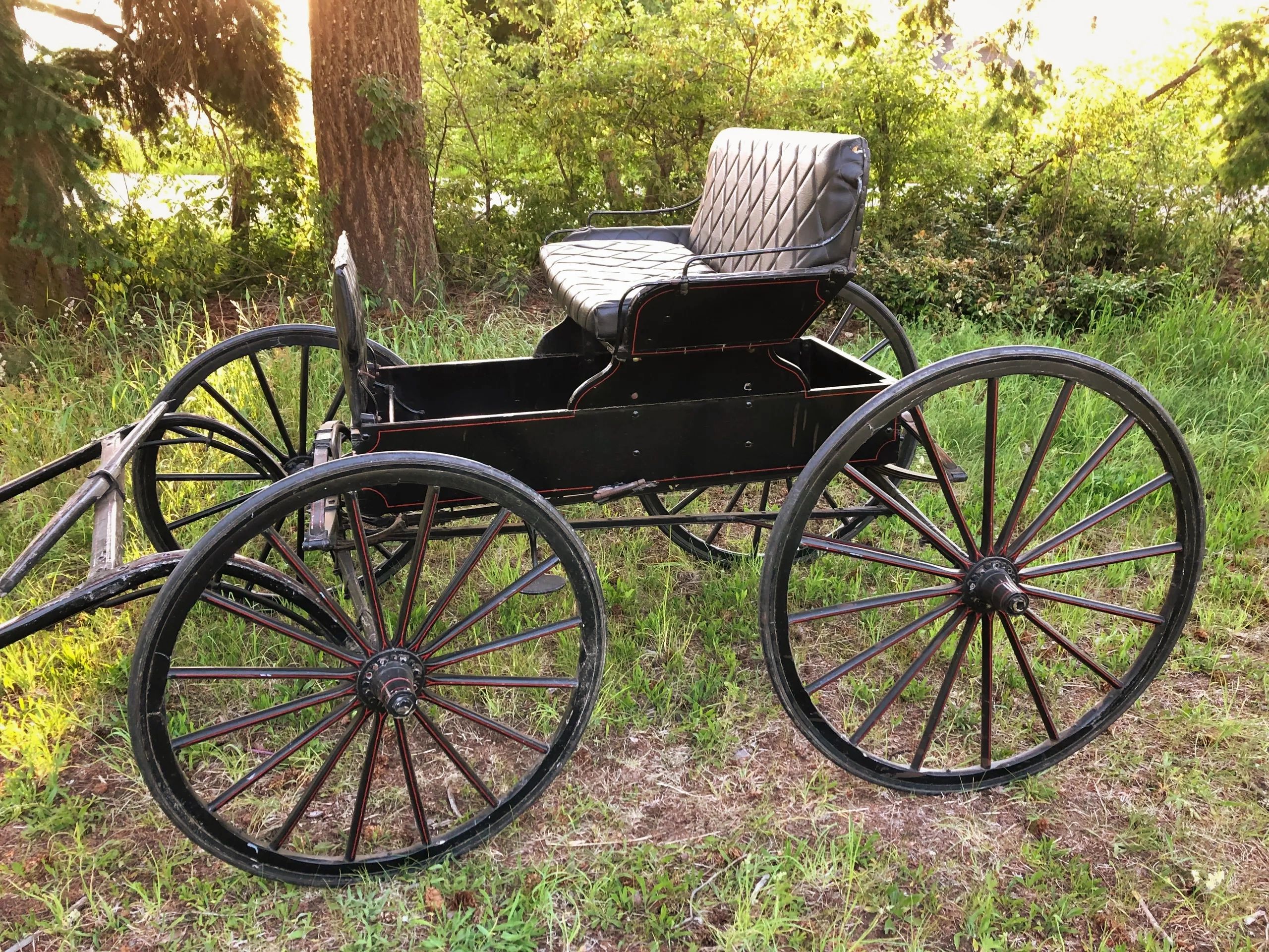 Rusticana Rentals - The Phaeton (doctor's buggy)