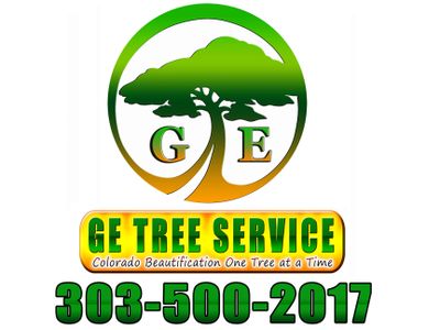 Ge Tree Service Tree Removal And Tree Trimming Stump Removal