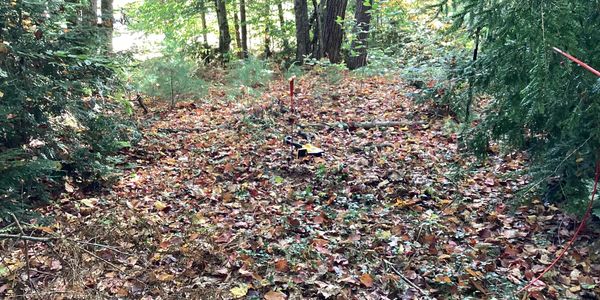 Field location