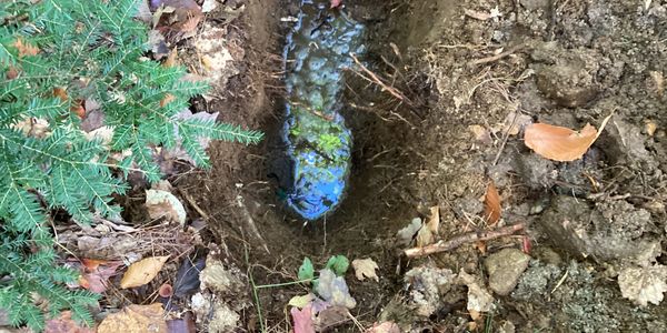 Effluent level in test pit