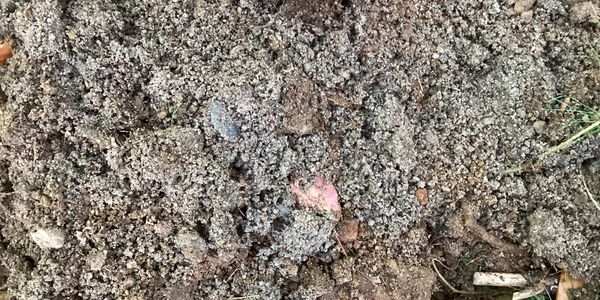 Sand condition