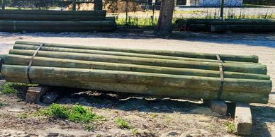 Pilings and Fence Posts Crystal River 