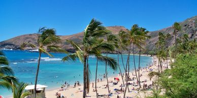 Sunny tropical beach with palm trees and people enjoying the ocean.