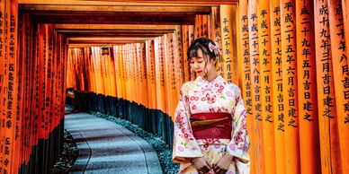 Japan Geisha