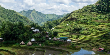 Philippines terraces