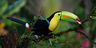 Costa Rica