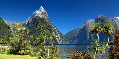 New Zealand adventure