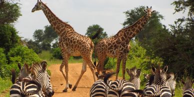 Tanzania