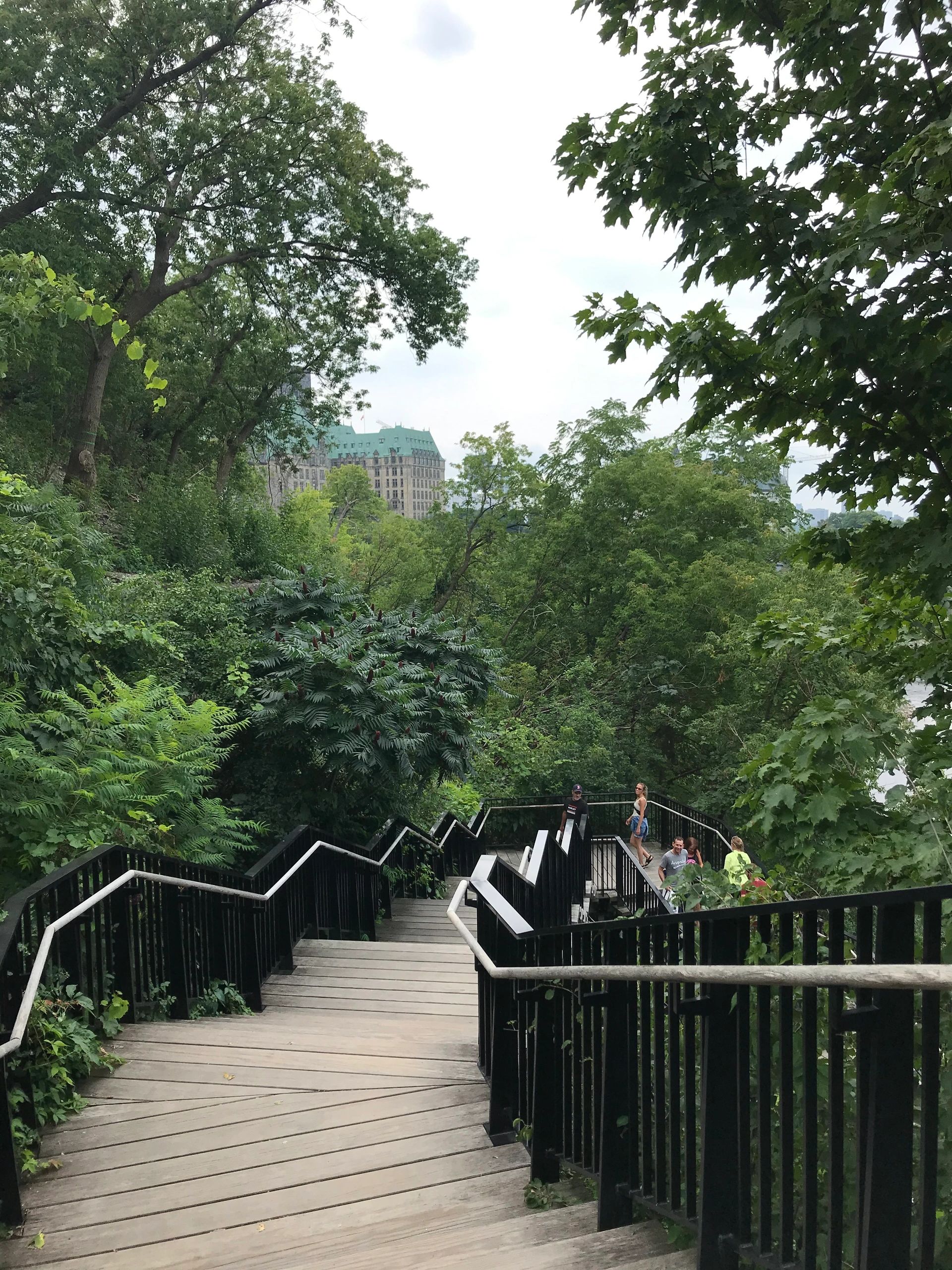 The stairs beside Parliament Hill in Ottawa. Lush green trees.