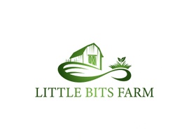 Little Bits