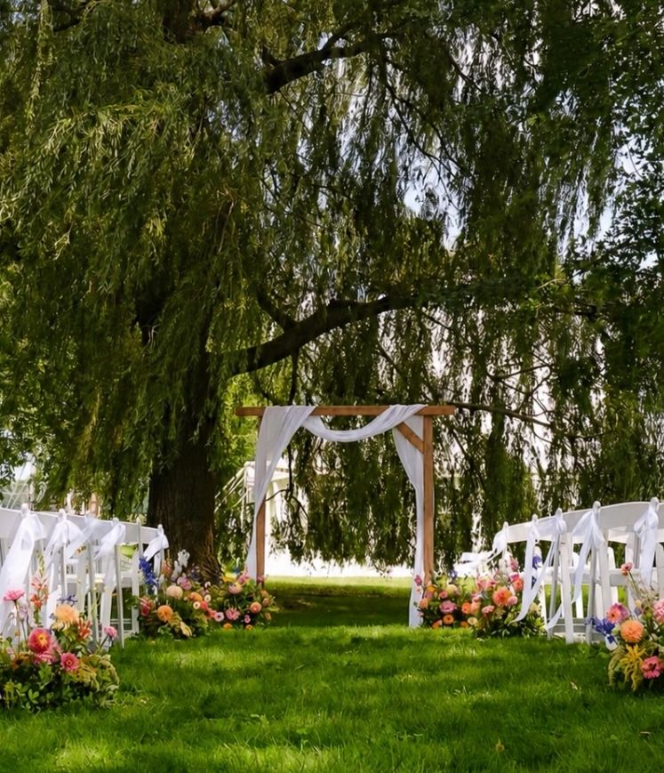 Outdoor wedding setup with chairs and floral decorations under a large tree.