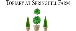 Topiary at Springhill Farm