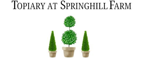 Topiary at Springhill Farm