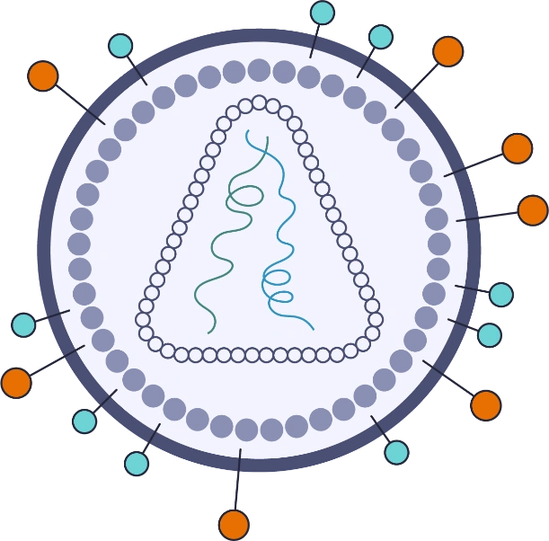 Healthcare Weekly Pulse Checkissue May13 May