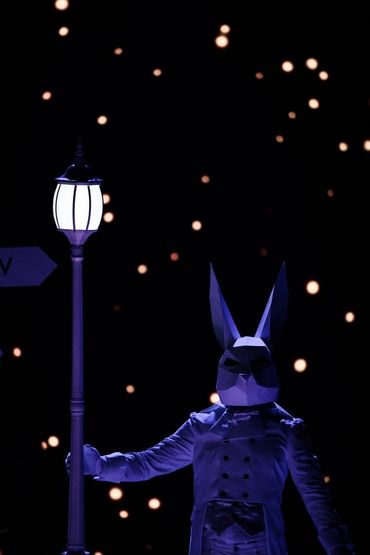 Rabbit costume