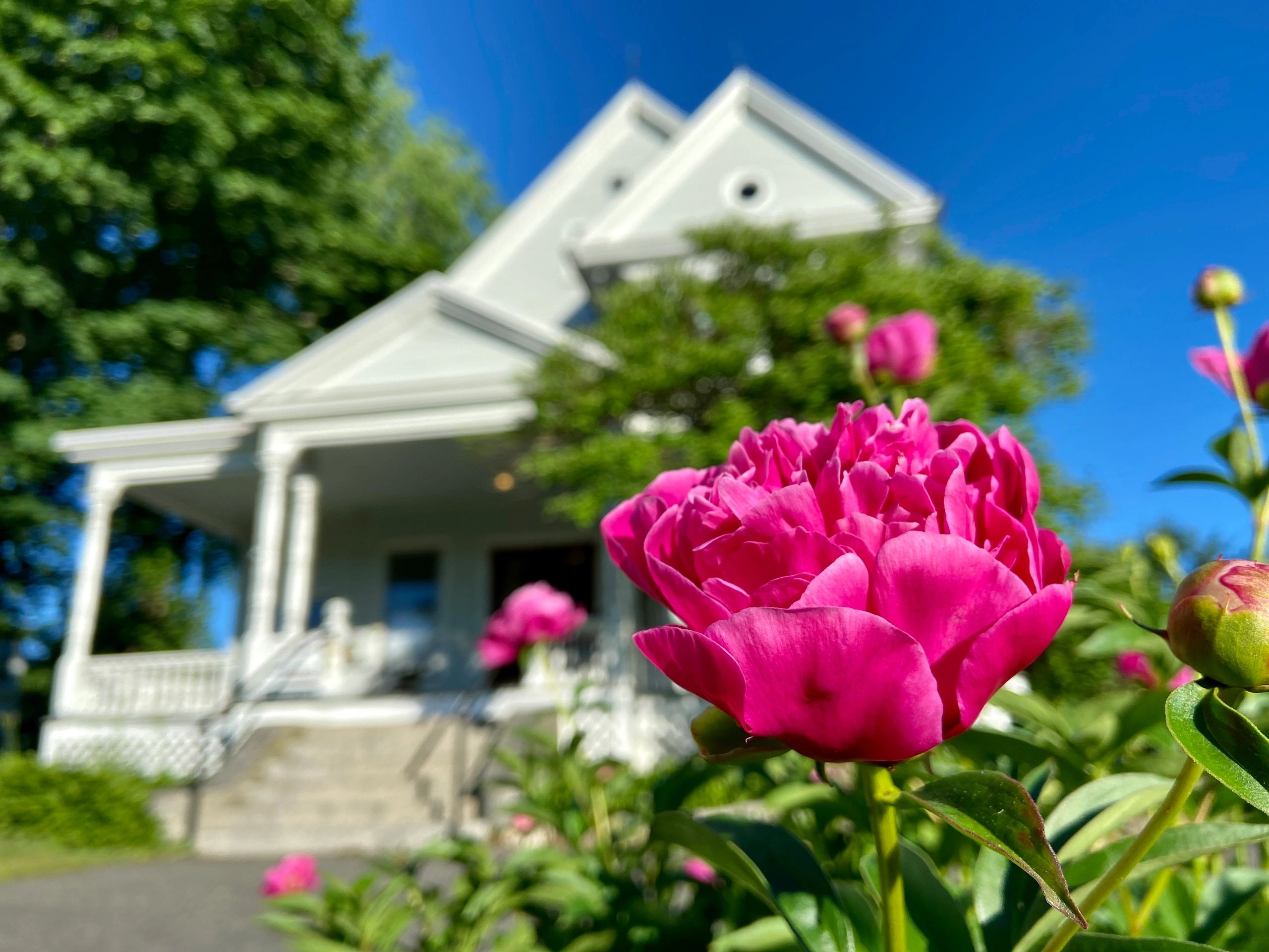 Portico Realty Realtor North Berwick, Maine